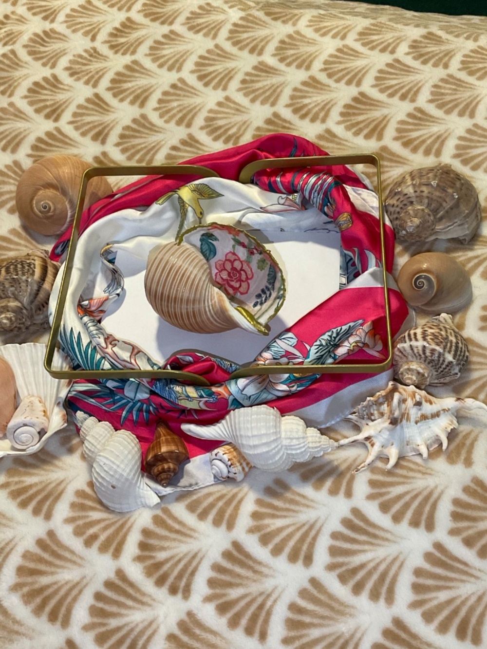 Striped Tonna Sulcosa Trinket Dish Sea Shell - Picture 5 of 5